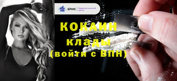 молекула духа Волоколамск