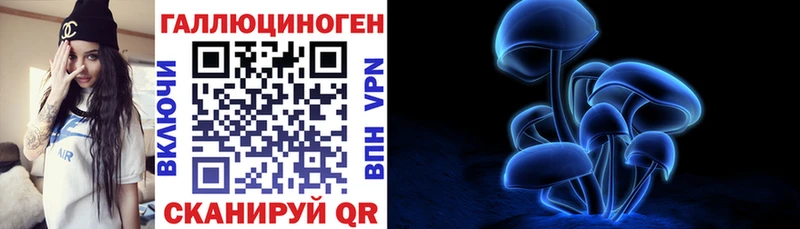 сколько стоит  Химки  Псилоцибиновые грибы Psilocybe 
